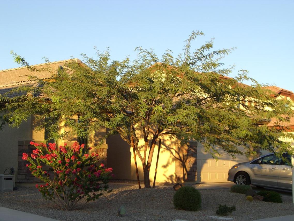 24810 W Hacienda Ave., Buckeye, AZ 85326