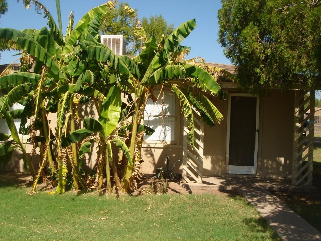 1102 W Atlanta Ave., Phoenix, AZ 85041