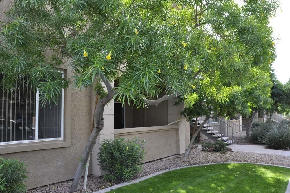 16013 S Desert Foothills Pkwy. #1130, Phoenix, AZ 85048