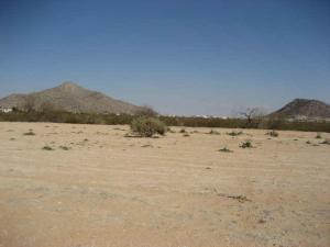 6629 N Paint Ln. #34, Casa Grande, AZ 85222