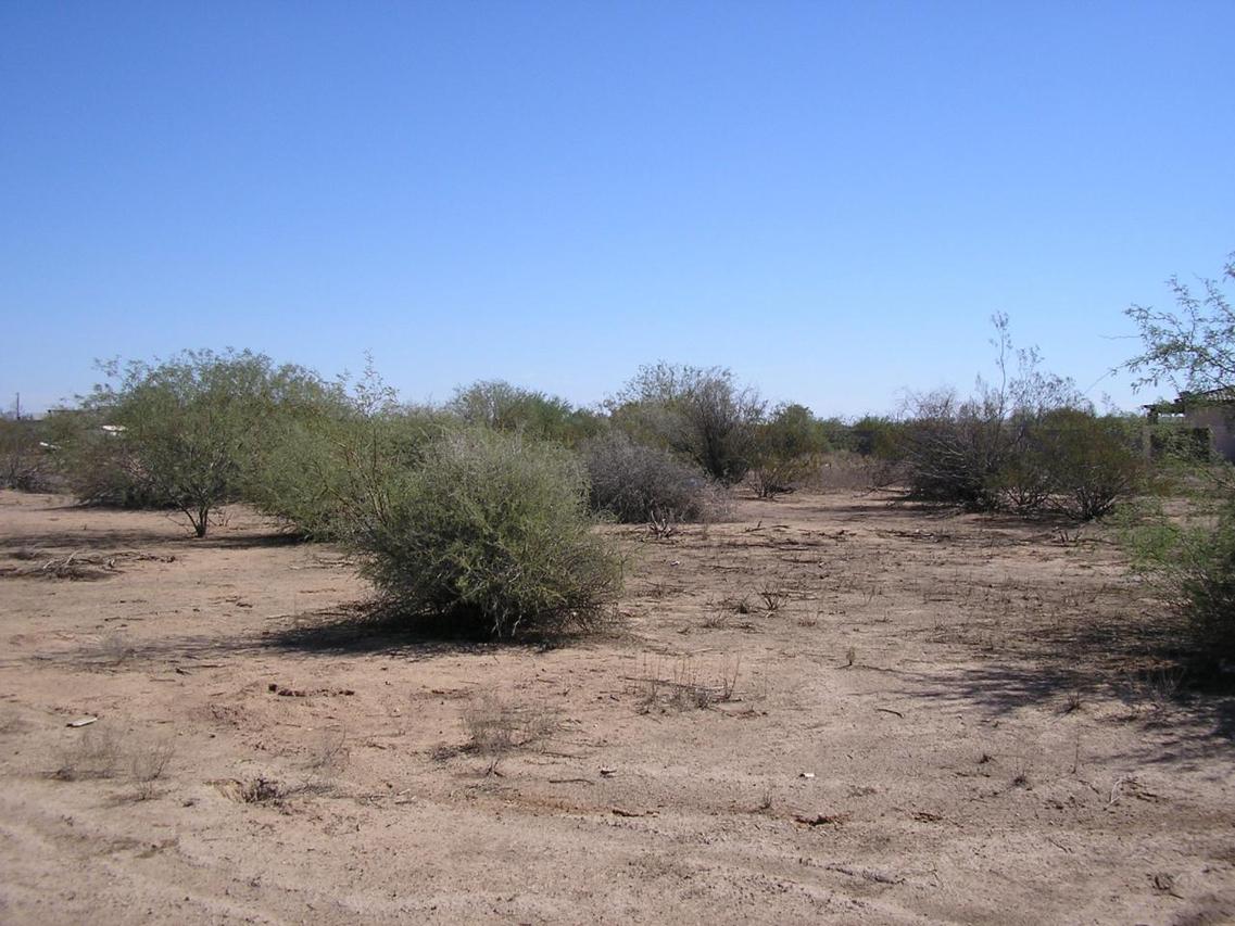 14xx S Mountain Rd. #3, Mesa, AZ 85212