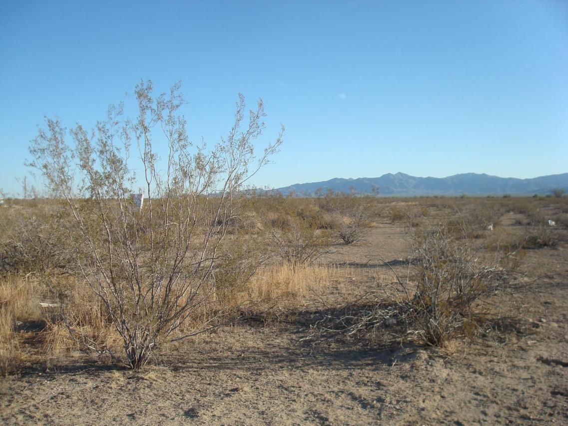 XXX N 299th G Ave. #G, Buckeye, AZ 85326