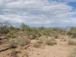 21XX N 164th St. #219-37-497C, Scottsdale, AZ 85262