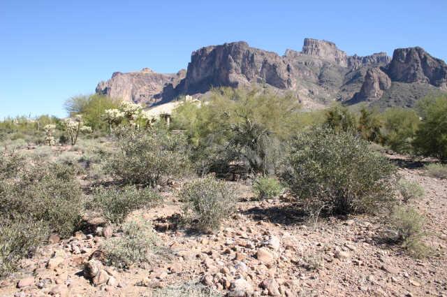 5900 E Roundup St., Apache Junction, AZ 85219