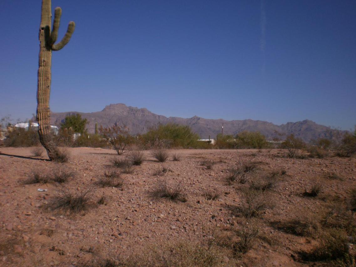 2872 S Cortez Rd., Apache Junction, AZ 85119