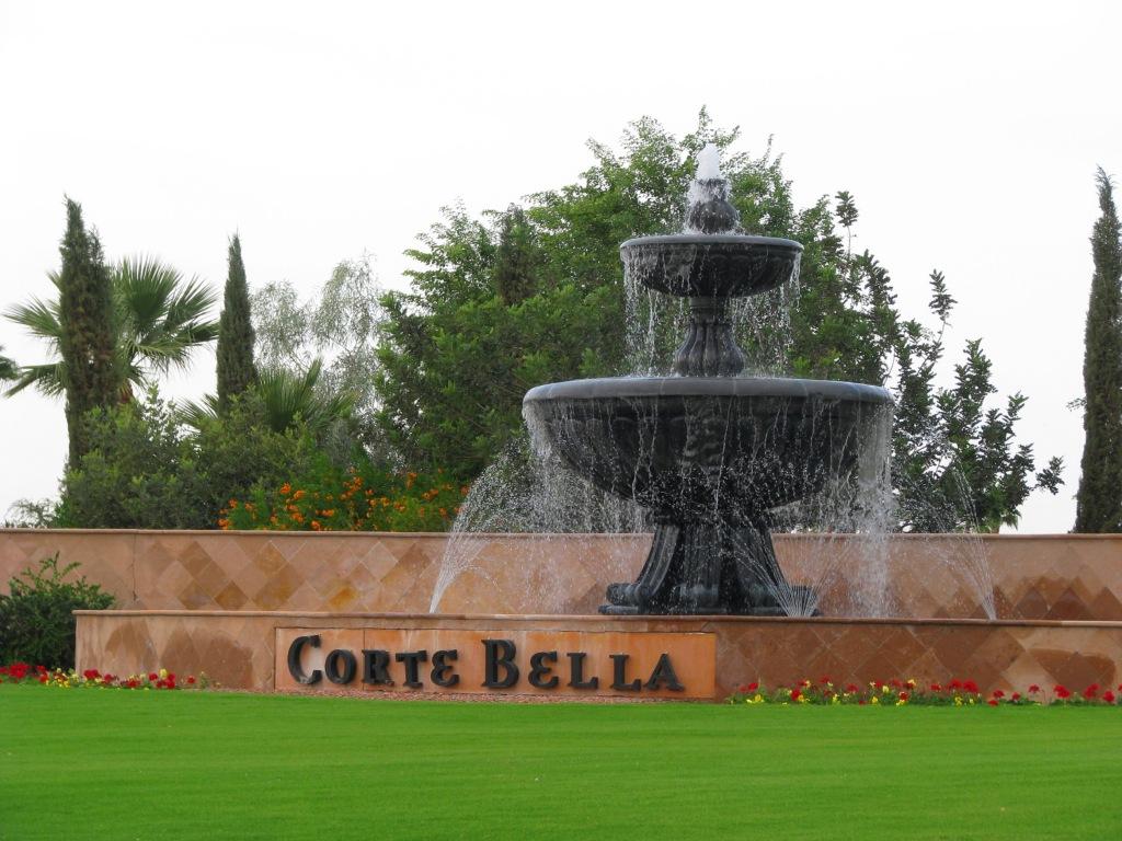 23109 N Hank Raymond Dr., Sun City West, AZ 85375