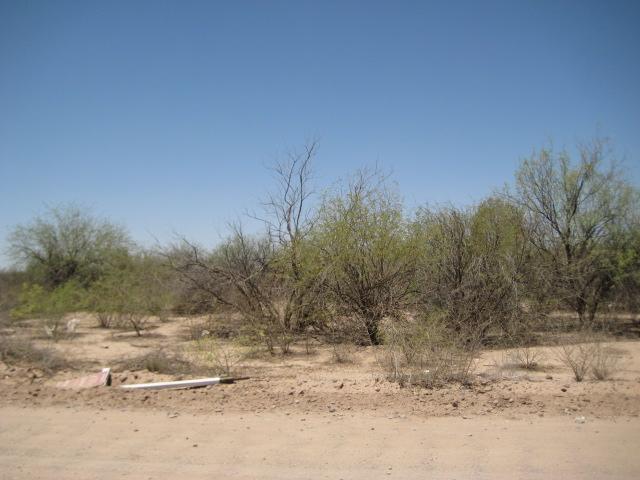 10967 W Gold Dust Dr. #114, Queen Creek, AZ 85144