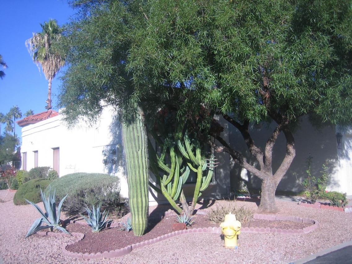 7852 E Fountain Cove Ave., Mesa, AZ 85208