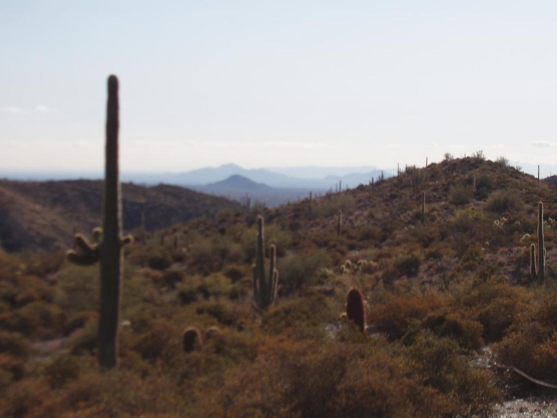 42770 N Old Corral Rd. #332, Scottsdale, AZ 85262