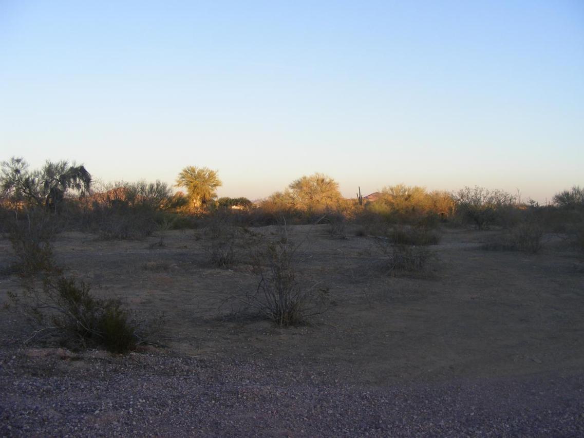155XX W Dynamite Rd. #503-52-659, Surprise, AZ 85387