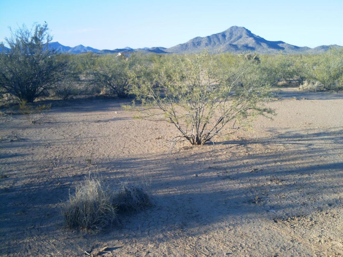 W Abbott Rd. #24, Wickenburg, AZ 85390