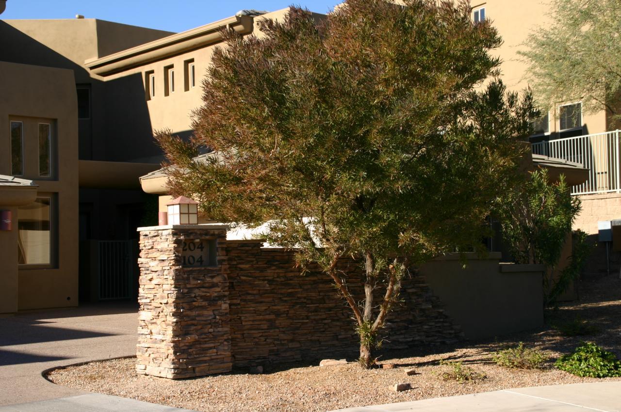 14850 E Grandview Dr. #104, Fountain Hills, AZ 85268