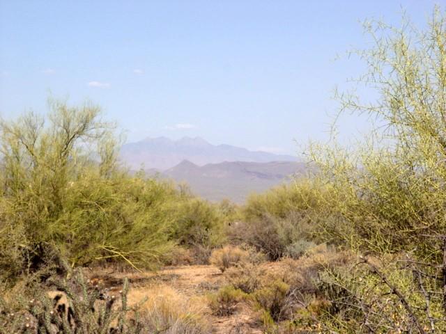 16300 E Montgomery Rd. #-, Scottsdale, AZ 85262