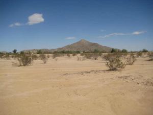 10292 W Mustang Dr. #41, Casa Grande, AZ 85222