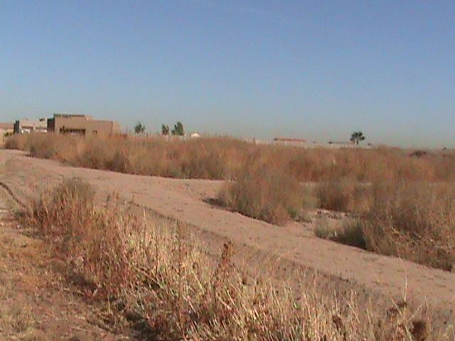 9006 S Dean (lot N) Rd. #N, Buckeye, AZ 85326