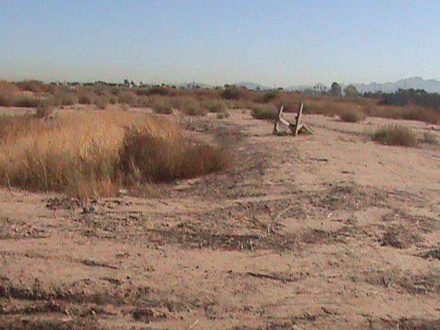 9006 S Dean (lot L) Rd. #L, Buckeye, AZ 85326