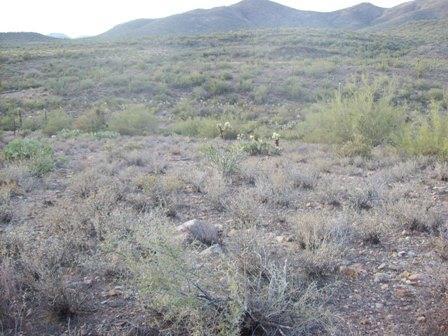 49706 N 1st Dr. #D, New River, AZ 85087