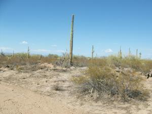 4 Hohokam Rd., Florence, AZ 85232