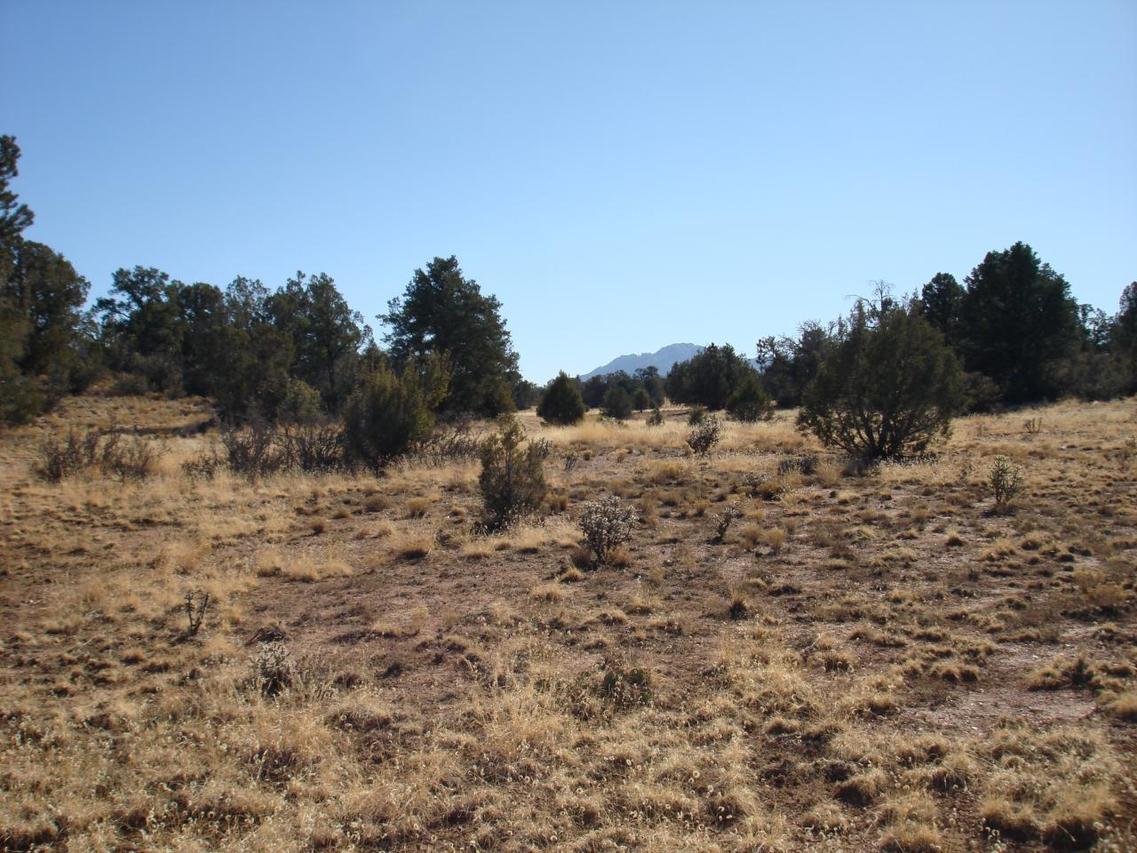 13610 N Indian Pony Tr. #159, Prescott, AZ 86305