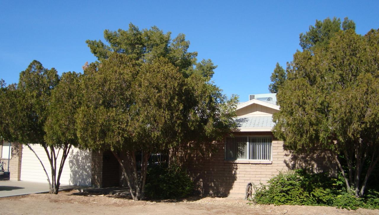 1882 E Watson Dr., Tempe, AZ 85283