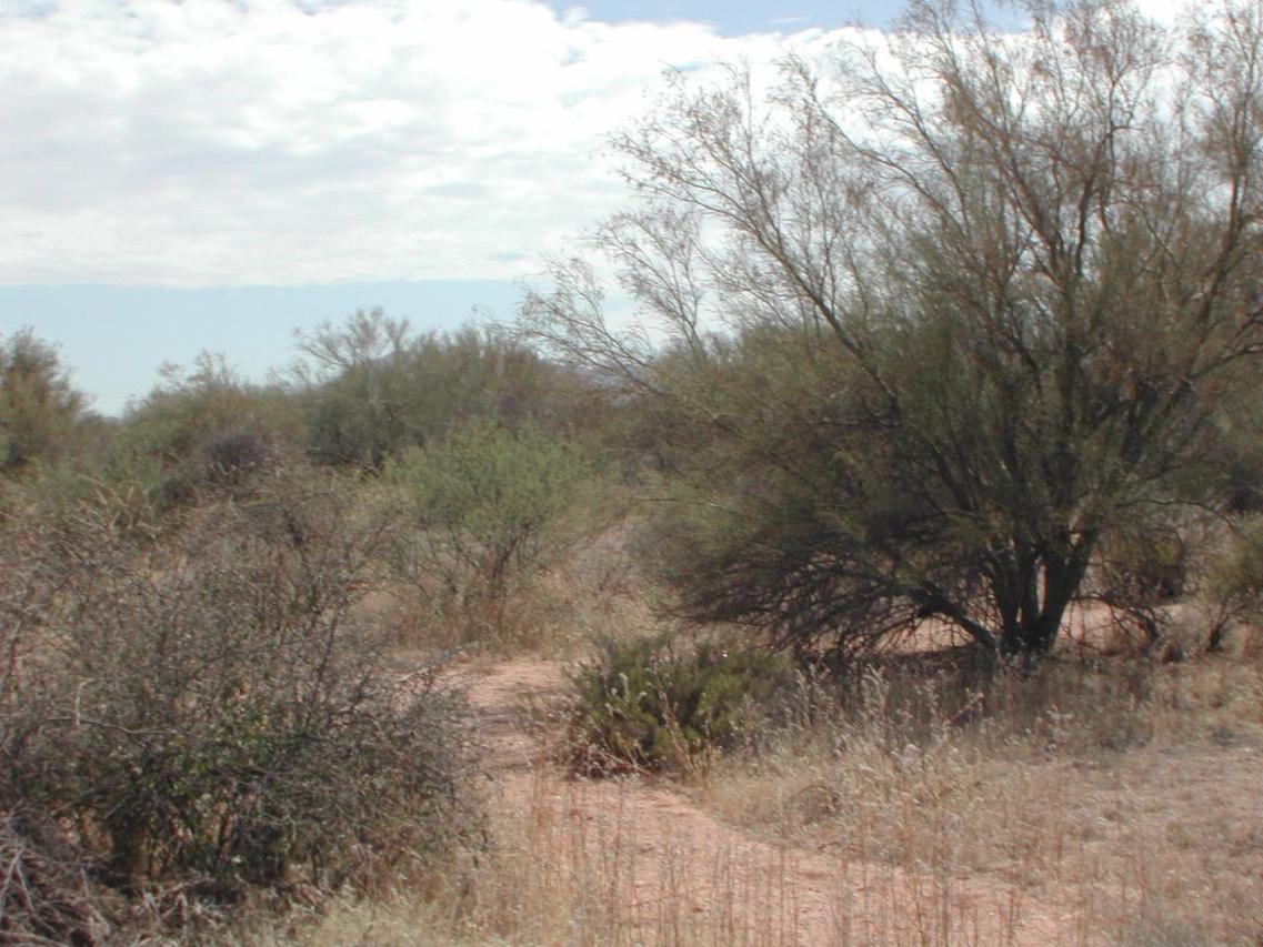 28200 N 158 St. #219-37-549E, Scottsdale, AZ 85262