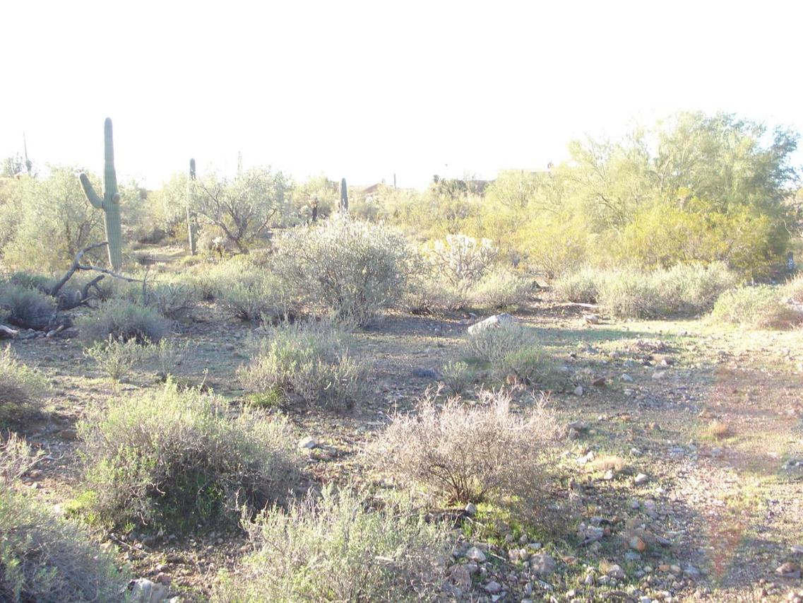 4793 S Pura Vida Way #26, Gold Canyon, AZ 85118