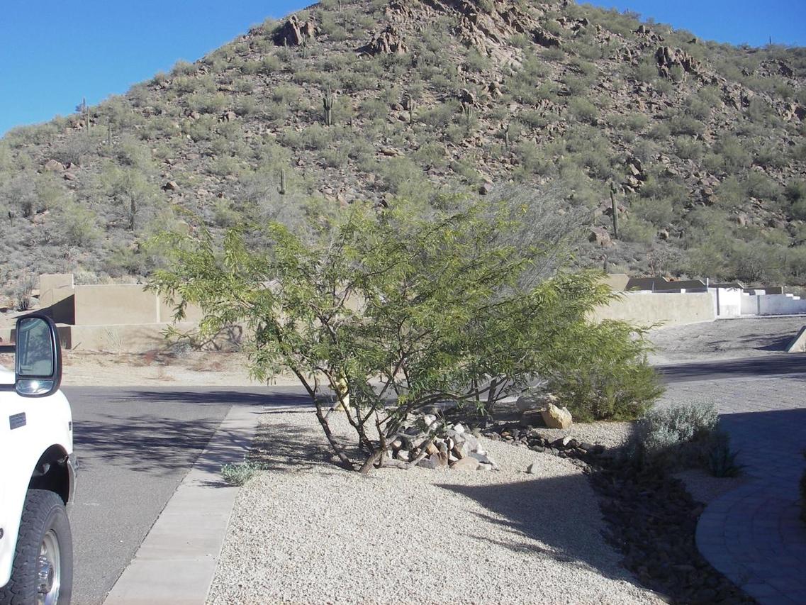 35601 N Via Tramonto, Phoenix, AZ 85086