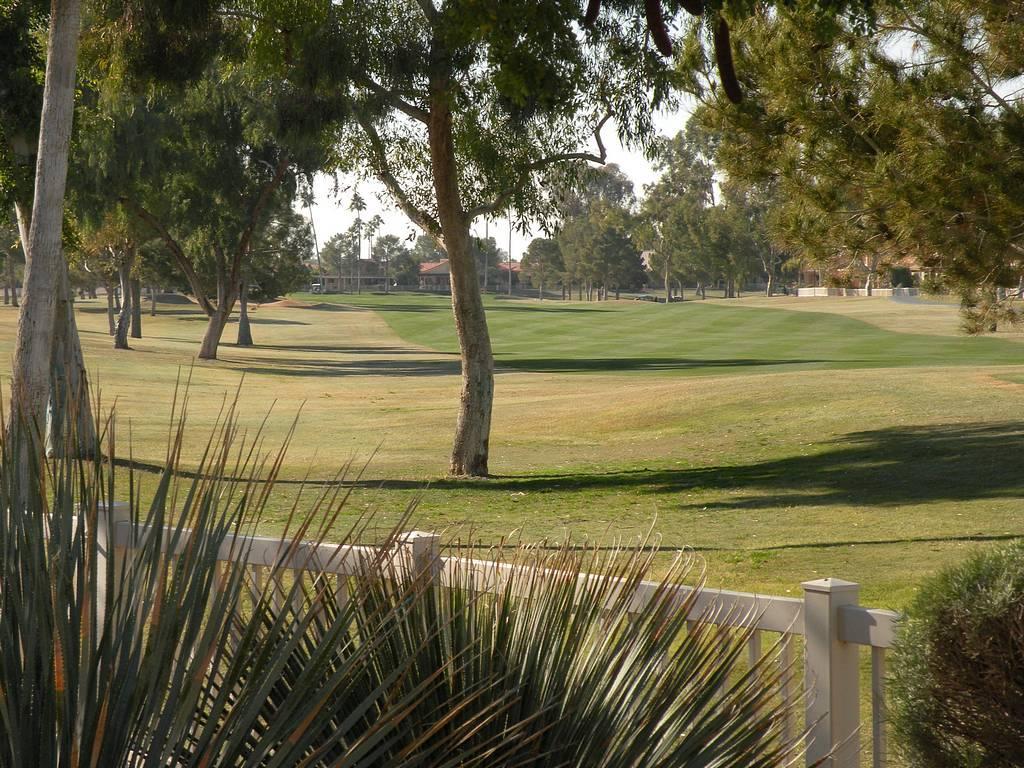 25816 S Flame Tree Dr., Sun Lakes, AZ 85248