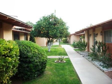 6721 E Mcdowell Rd. #301, Scottsdale, AZ 85257