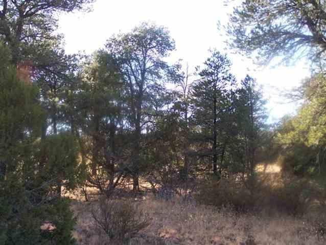 3356 Apache Dr. #146, Overgaard, AZ 85933