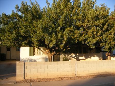 1702 W Bedford St., Mesa, AZ 85201