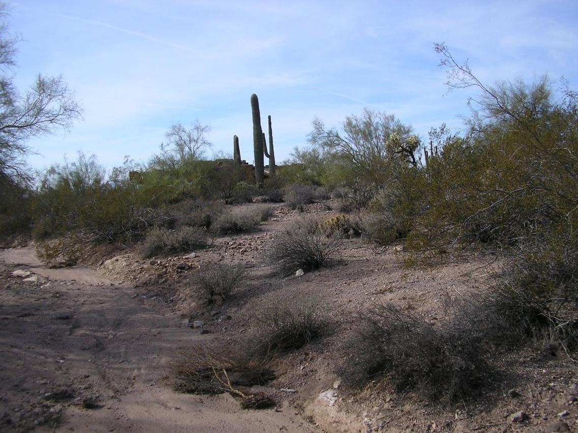 234 W Mckellips Blvd. #E, Apache Junction, AZ 85220