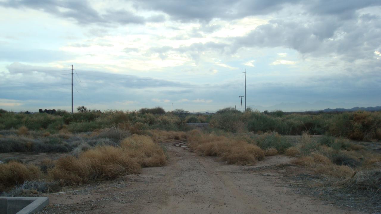26801 W Old Hwy 80 #X, Buckeye, AZ 85326