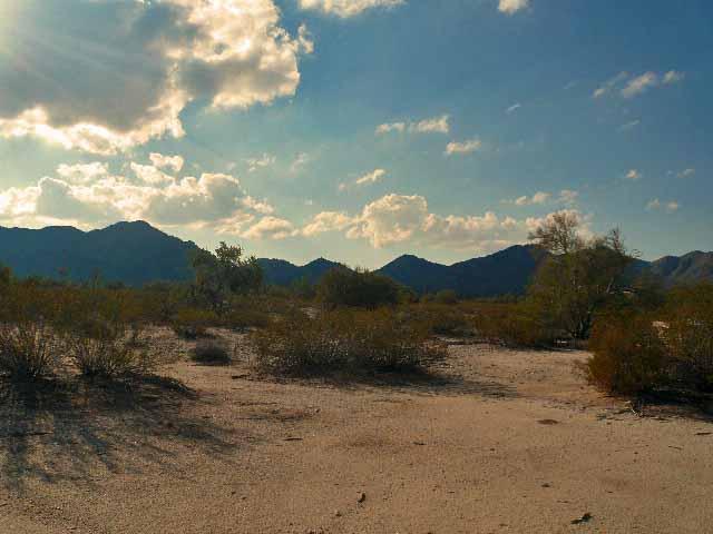 572 S Deer Tr. #16, Maricopa, AZ 85139