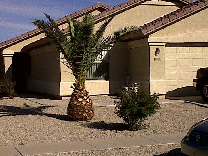 2922 E Sierrita Rd., San Tan Valley, AZ 85143