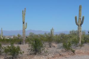 N Delaware Dr., Apache Junction, AZ 85220