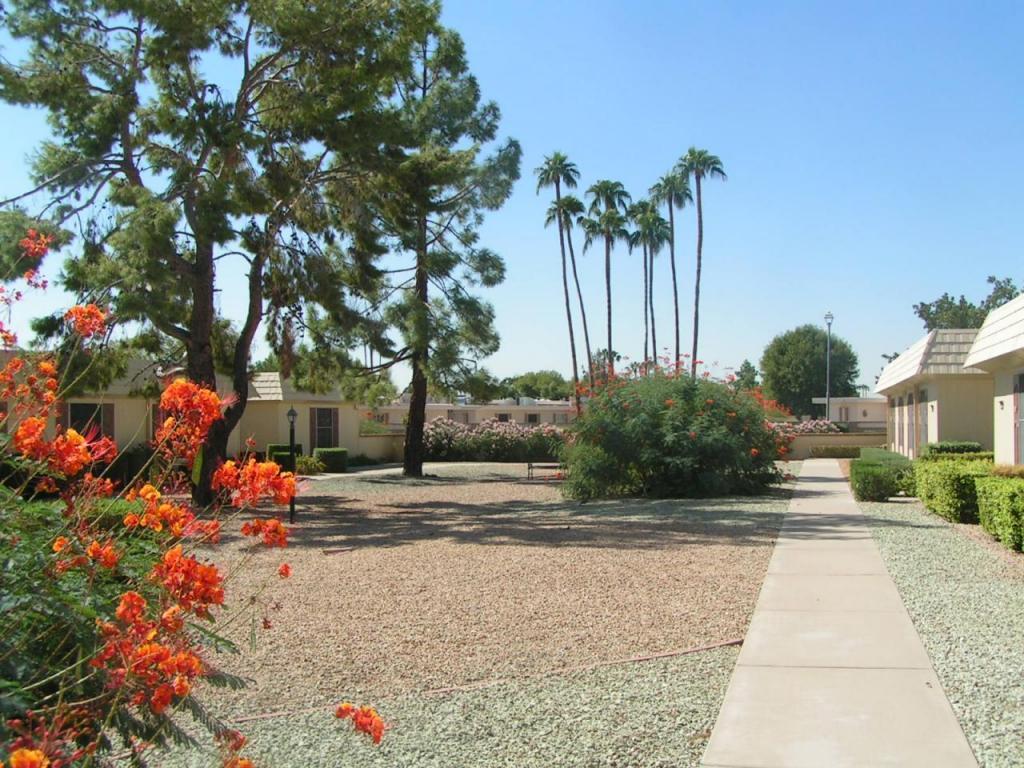 17281 N 105th Ave., Sun City, AZ 85373