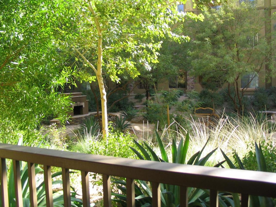 5450 E Deer Valley Dr. #1220, Phoenix, AZ 85054