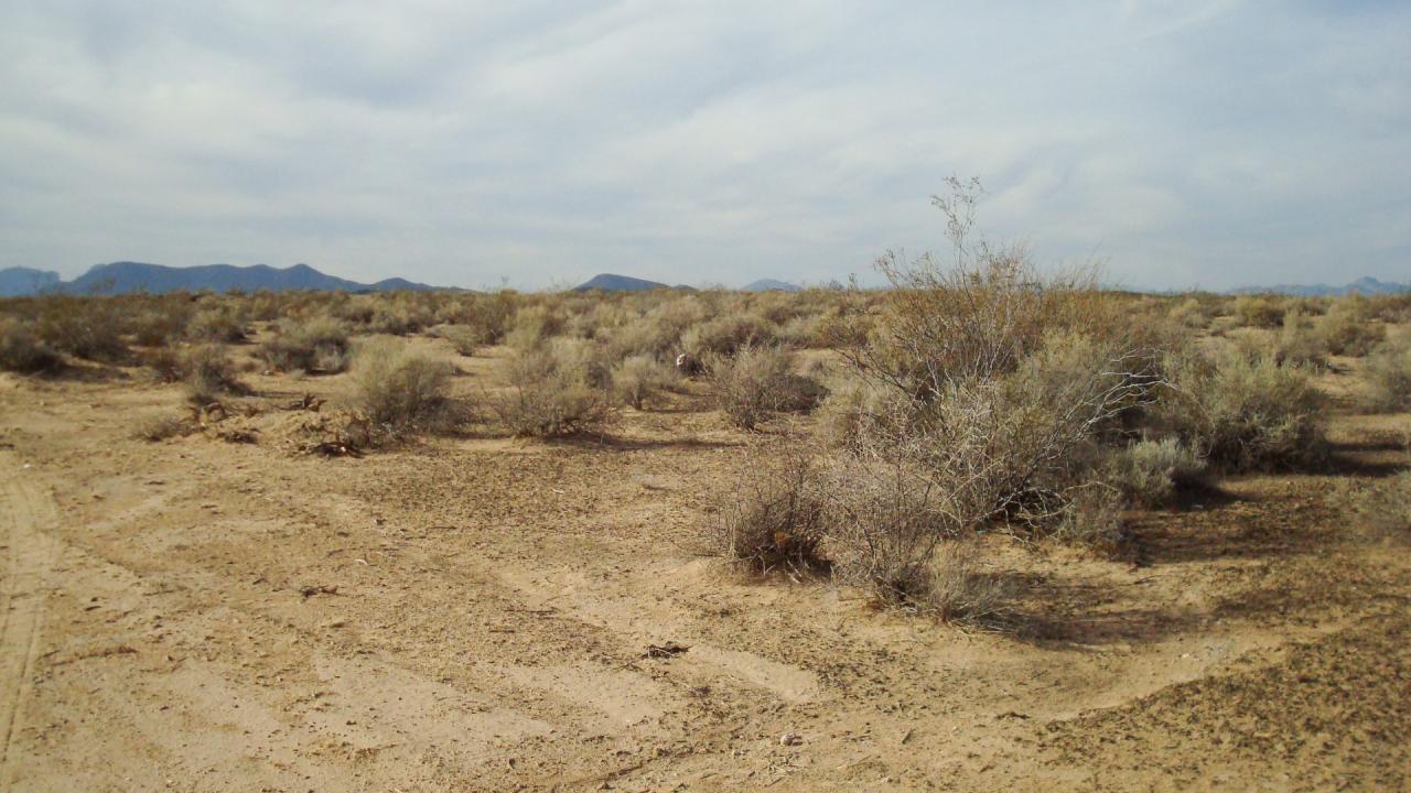 XXX S 361st Ave. #M, Tonopah, AZ 85354