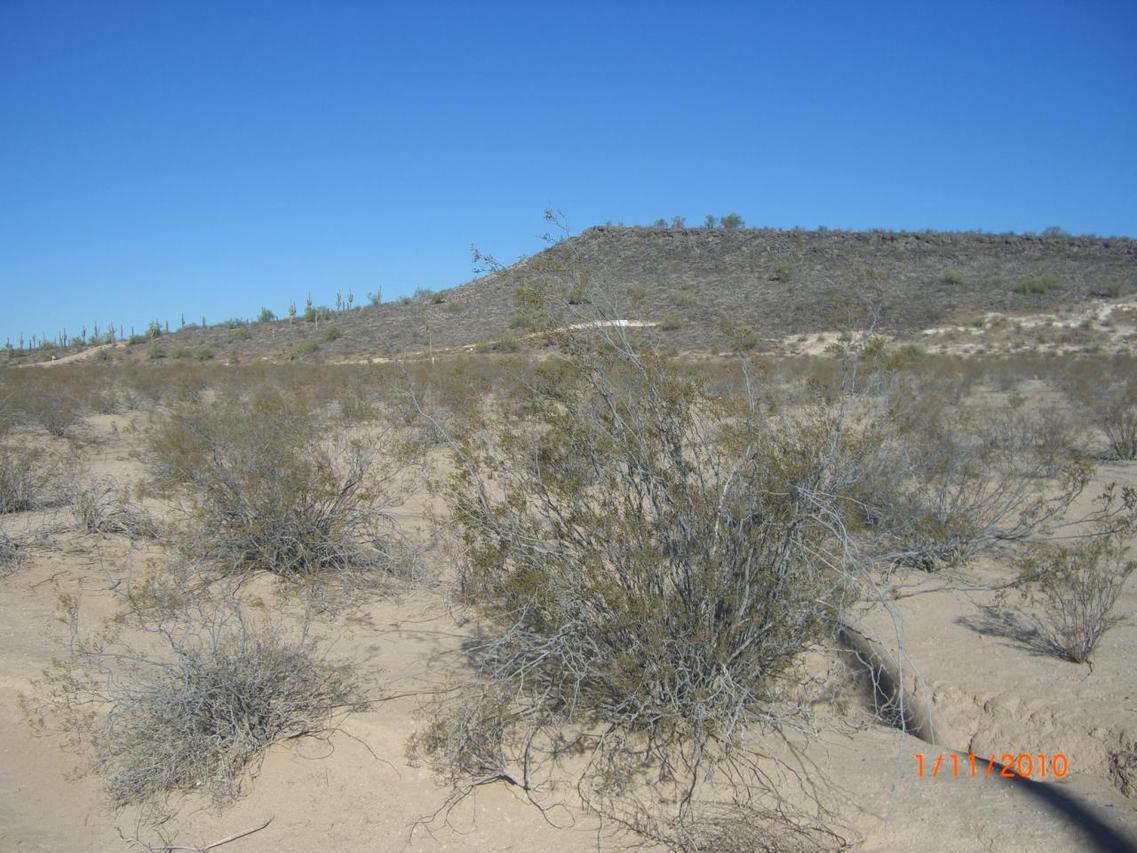 W Franklin Rd. #H, Florence, AZ 85132