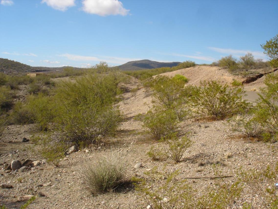 4445 S Black Mtn Rd. #10, Wickenburg, AZ 85390