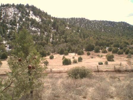 2732 W Walnut Creek #T, Young, AZ 85554