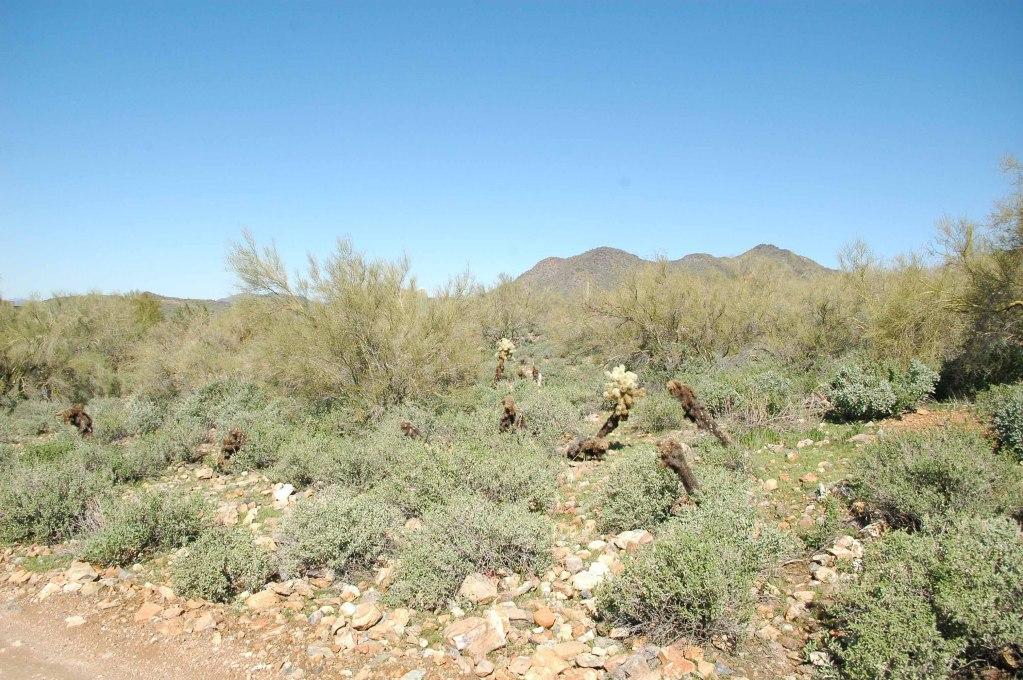 38xx E Glory Rd., Cave Creek, AZ 85331