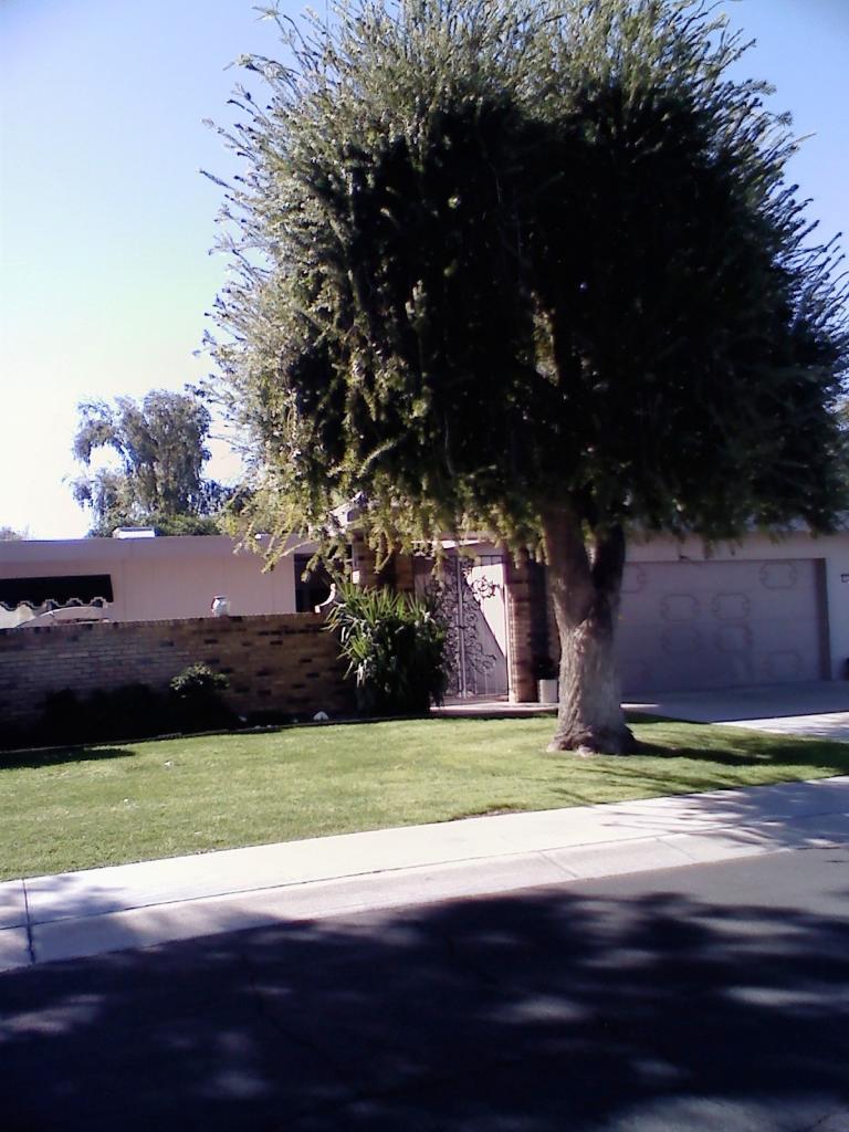 10353 W Garnette Dr., Sun City, AZ 85373
