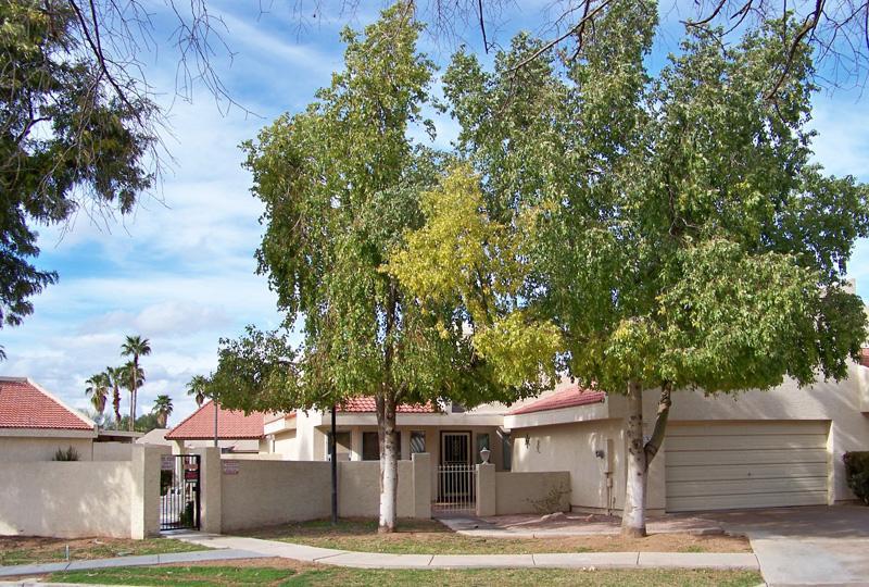 792 W El Monte Pl. #4, Chandler, AZ 85225