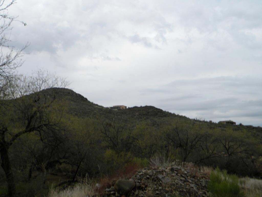 5209 E Rockaway Hills Dr. #M&B, Cave Creek, AZ 85331
