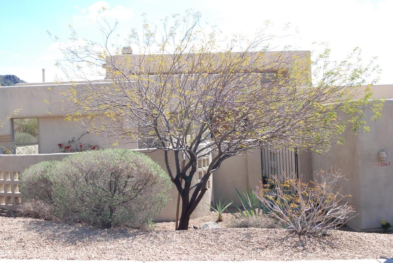 12563 N 136th St., Scottsdale, AZ 85259