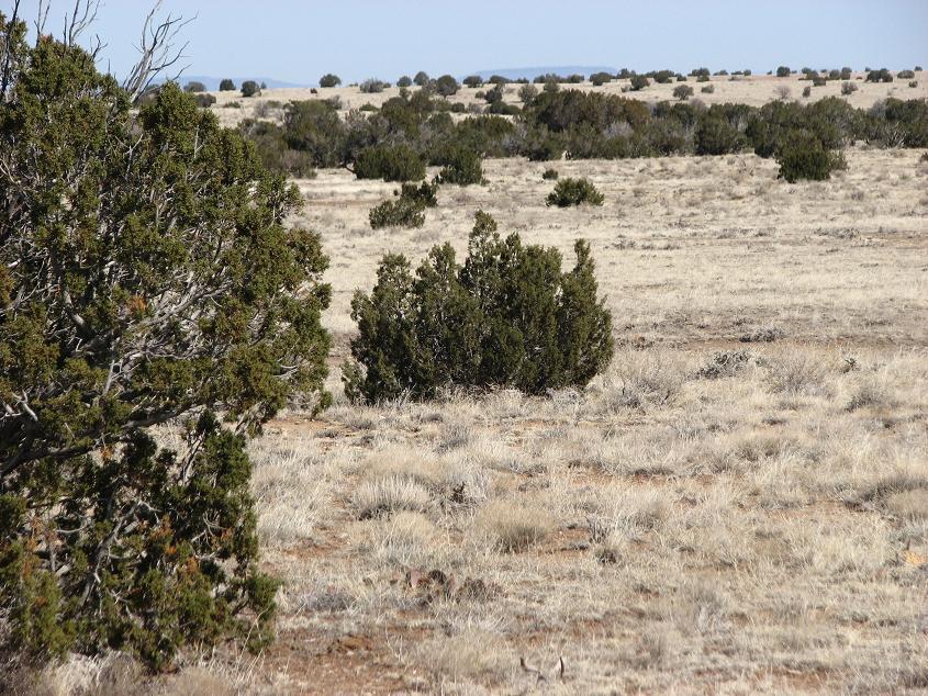 Sec.7 Chevelon Retreat #006, Heber, AZ 85928