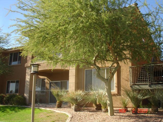 16013 S Desert Foothills Pkwy. #1017, Phoenix, AZ 85048