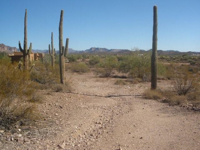 3733 S Kings Ranch Rd., Gold Canyon, AZ 85218